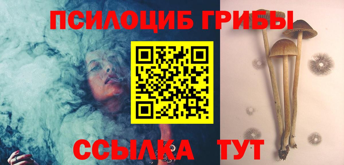 Псилоцибиновые грибы Psilocybe Советская Гавань